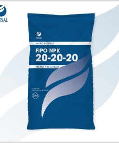 Phân bón nhập khẩu NPK dạng bột - FIPO NPK 20-20-20