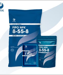 Phân bón nhập khẩu NPK dạng bột - FIPO NPK 8-55-8