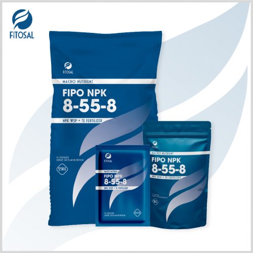 Phân bón nhập khẩu NPK dạng bột - FIPO NPK 8-55-8