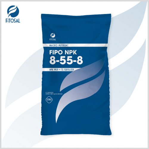 FIPO NPK 8-55-8