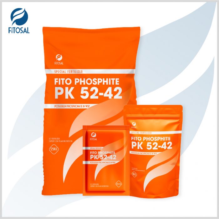 Phân bón đặc biệt nhập khẩu từ Châu Âu – FITO PHOSPHITE PK 52-42