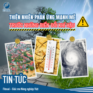 THIÊN NHIÊN PHẢN ỨNG MẠNH MẼ TRƯỚC NHỮNG BIẾN ĐỔI KHÍ HẬU