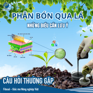 PHÂN BÓN QUA LÁ VÀ NHỮNG ĐIỀU CẦN LƯU Ý