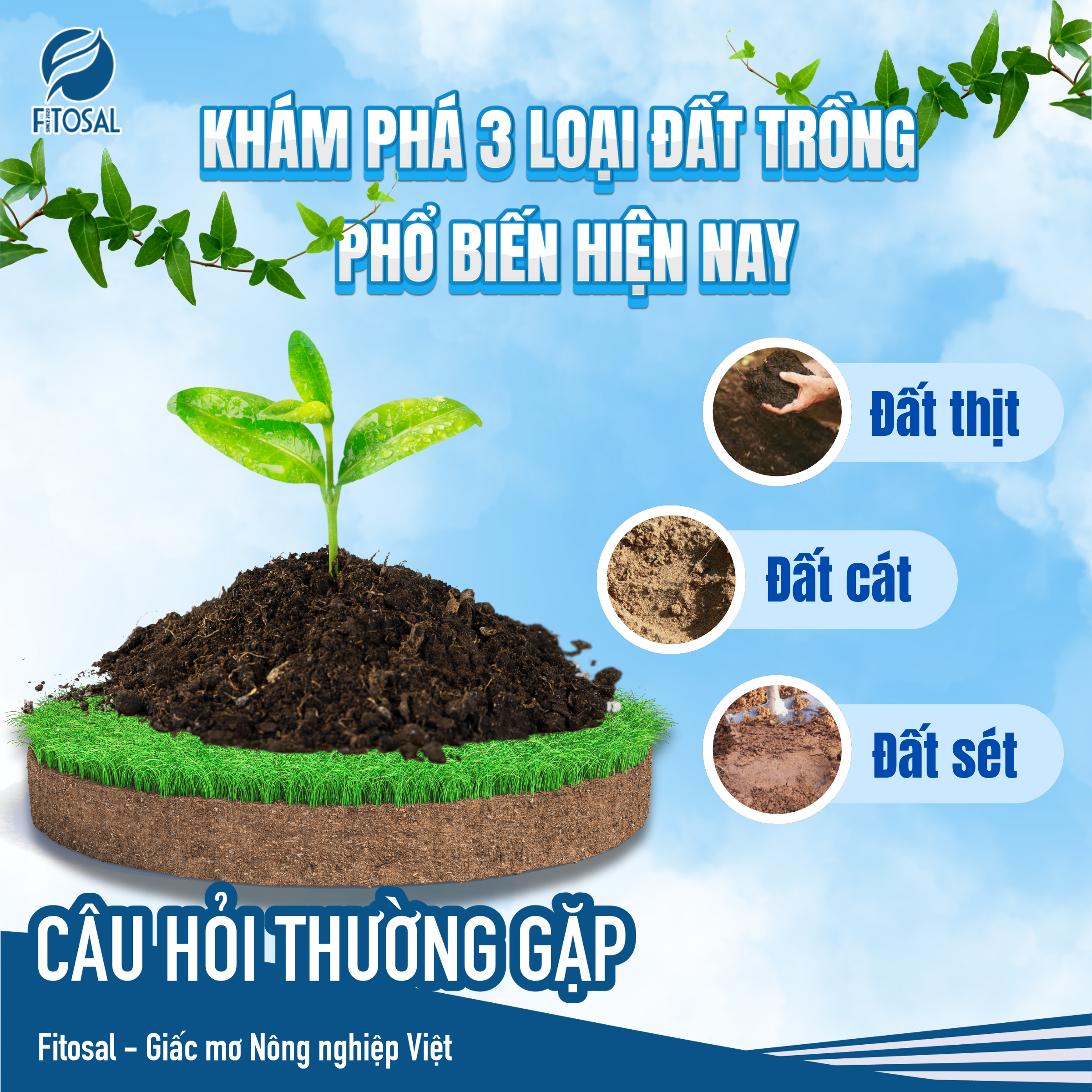 KHÁM PHÁ 3 LOẠI ĐẤT TRỒNG PHỔ BIẾN HIỆN NAY